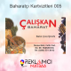 baharatçı kartvizitleri